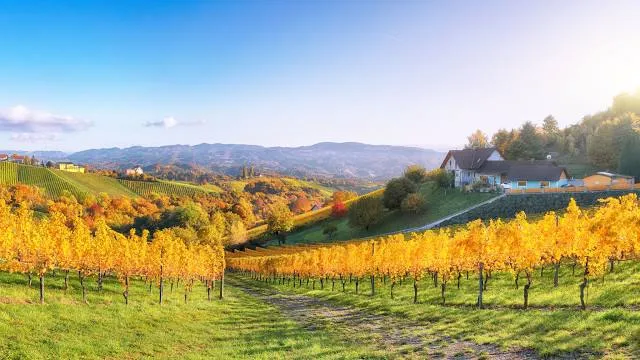 Skansen w Dobczycach