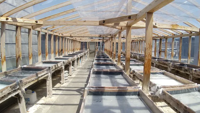 Tano-cho Complete Sun-dried Salt Experience Facility