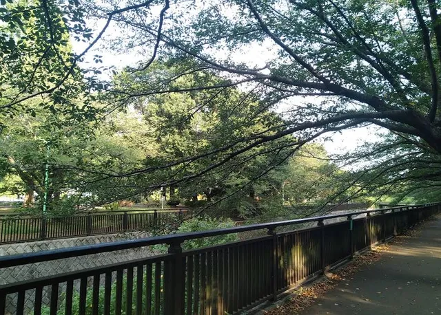 Soshigaya Park