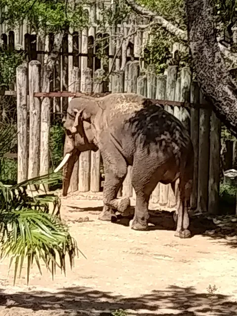 Zoo Creek Café at Fort Worth Zoo