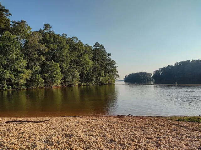 Buddle Creek Swim Area