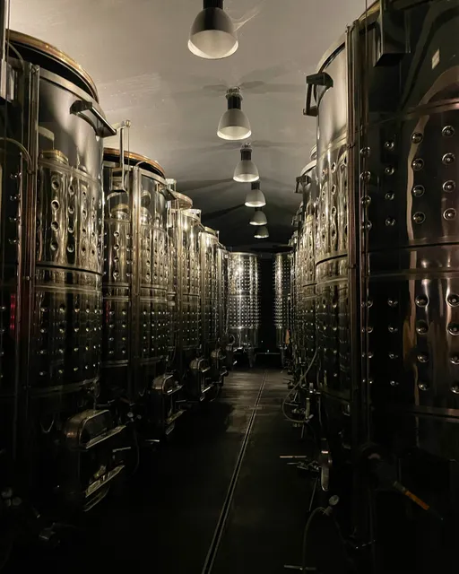 Can Bas Domini Vinícola