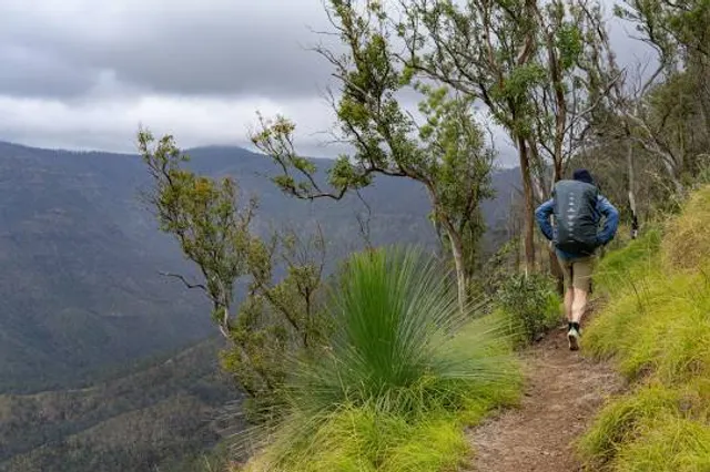 Scenic Rim Trail