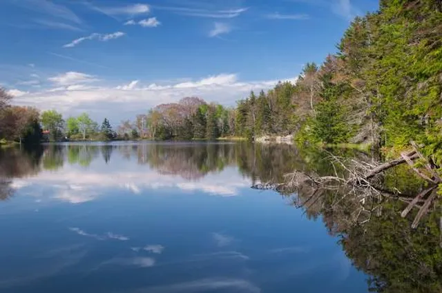 Ocean Point Preserve