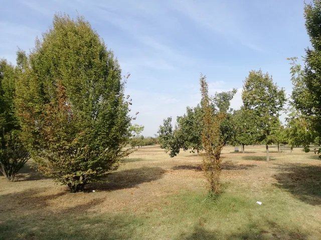 Parco Amarcord Casalgrande