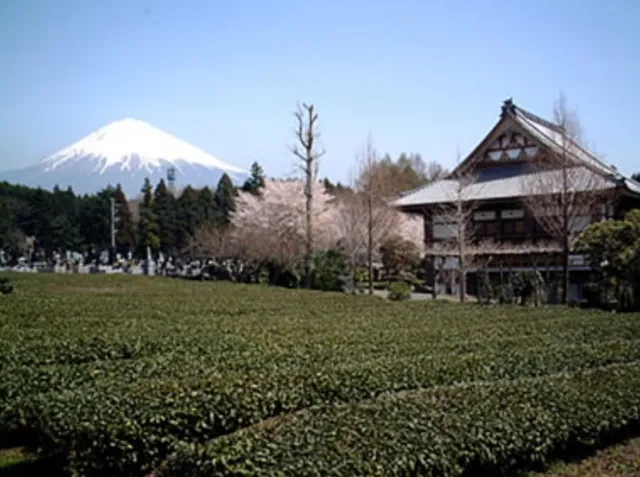 Nichirenshu Honshu Temple