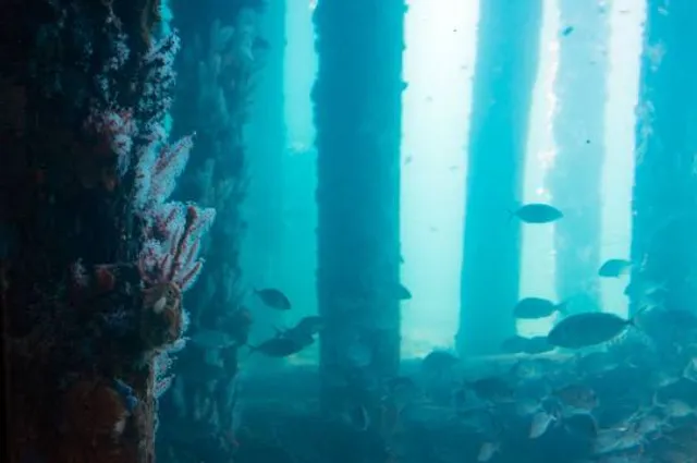 Busselton Underwater Observatory