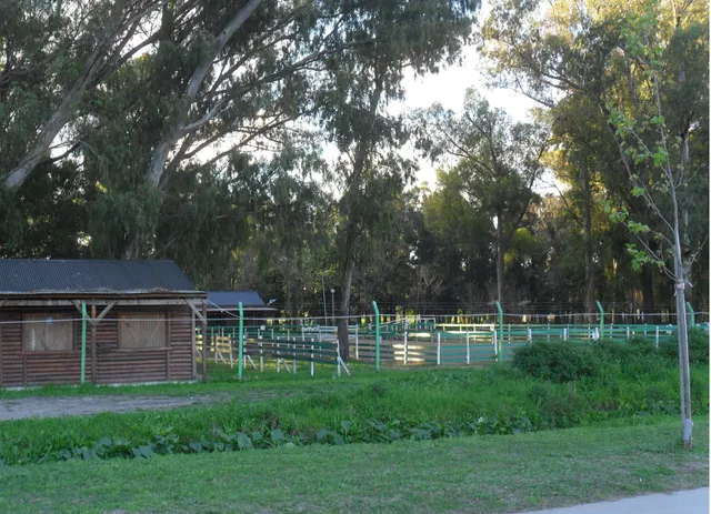 Municipalidad De Ensenada