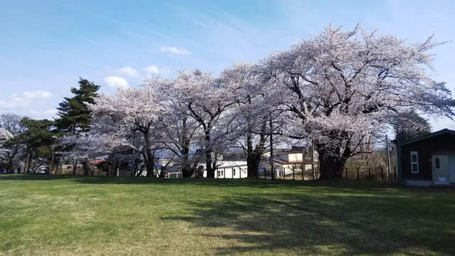 Hanaoka Park