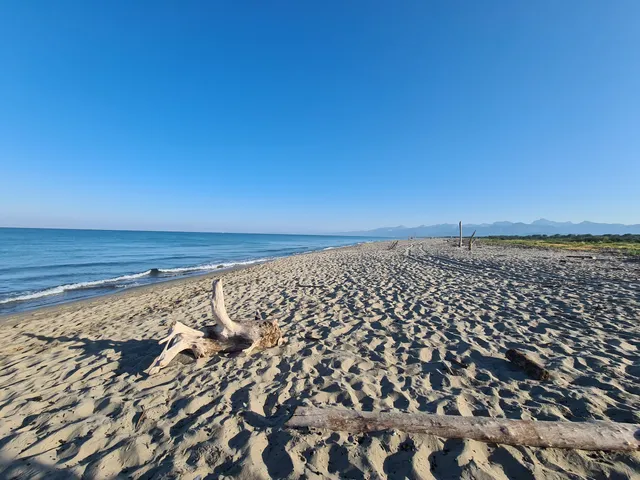 Spiaggia di Vecchiano