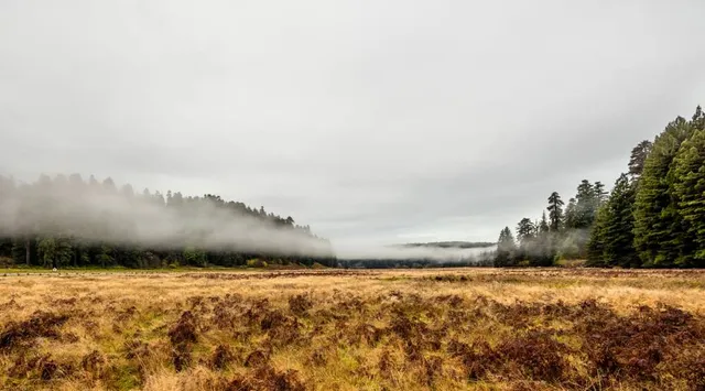 Prairie Creek Visitor Center