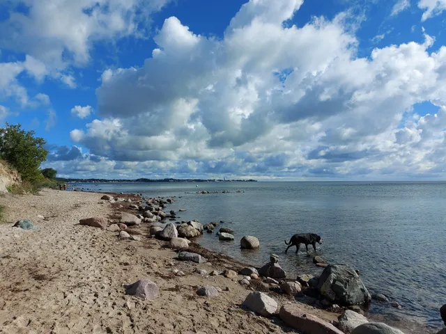 Hundestrand Sierksdorf