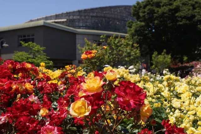 Odawara Flower Garden
