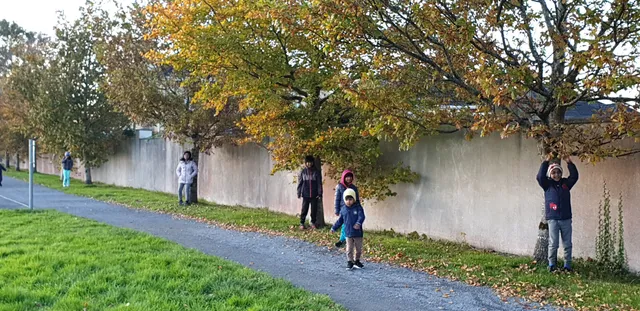 photo-2