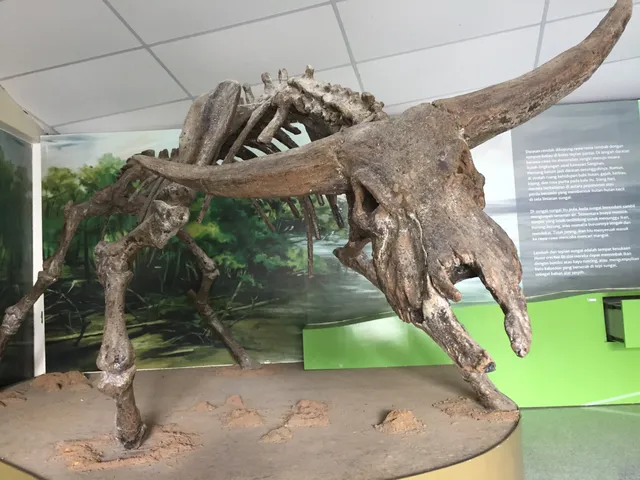 Museum Manusia Purba Klaster Dayu