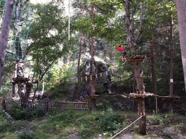 Grimp In Forest