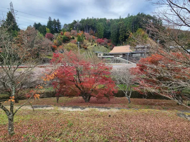 Obara Fureai Park