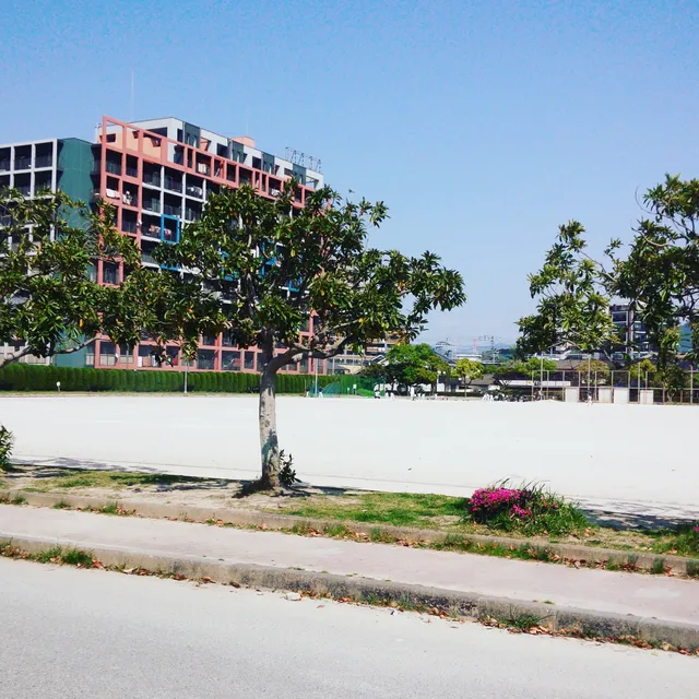 Kasuya Central Sports Park