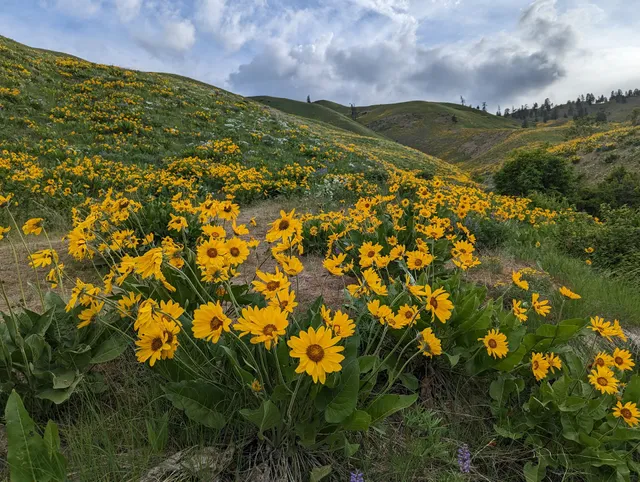 Sage Hills Trailhead