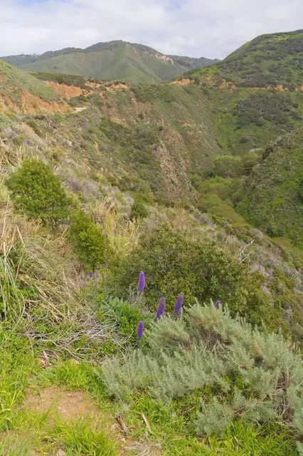 Battle of Carthage State Historic Site