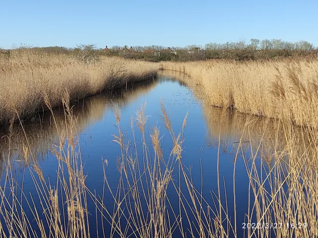 Marsh Farm Country Park