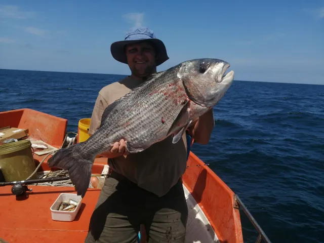 GOFISH Deep Sea Fishing Charters Mossel Bay