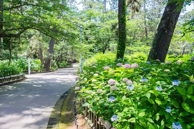 Numazu Imperial Villa Memorial Park