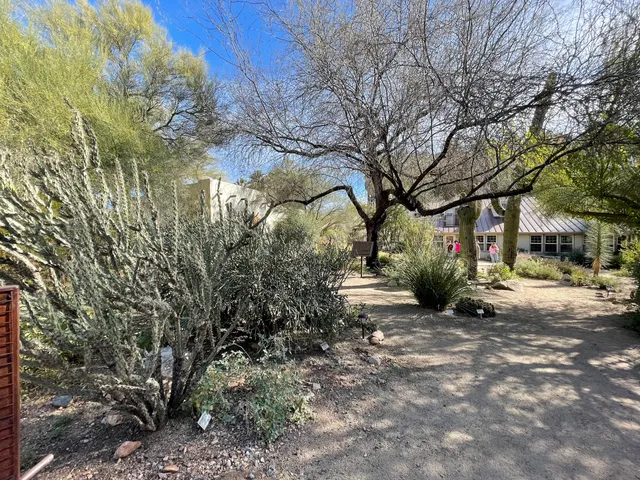 Maricopa County Parks and Recreation