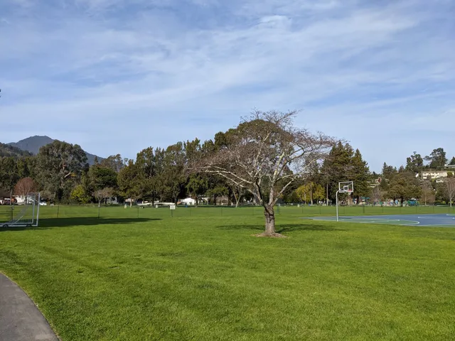 Corte Madera Town Park
