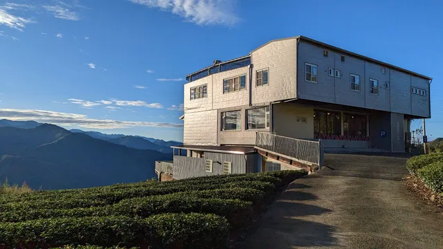 Purple Dragon Star Sky