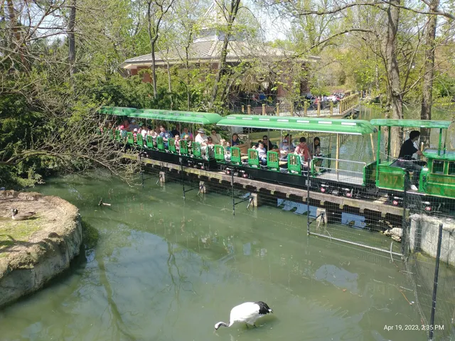 photo-1