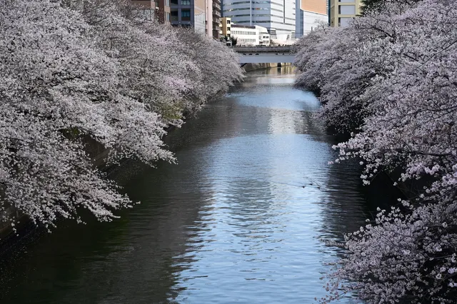 Dendō Square Park