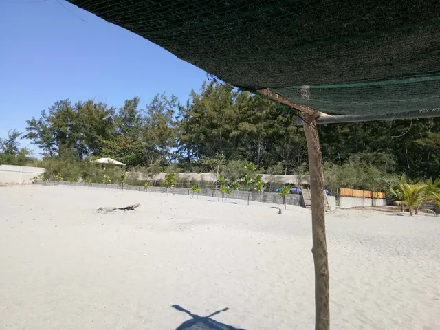 photo-3
