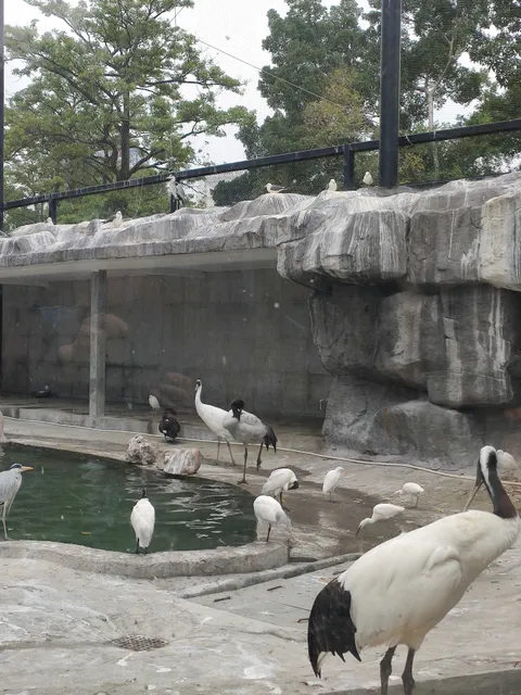 Zhongshan Park-Zoo