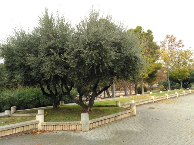 Parque de Torre Ramona