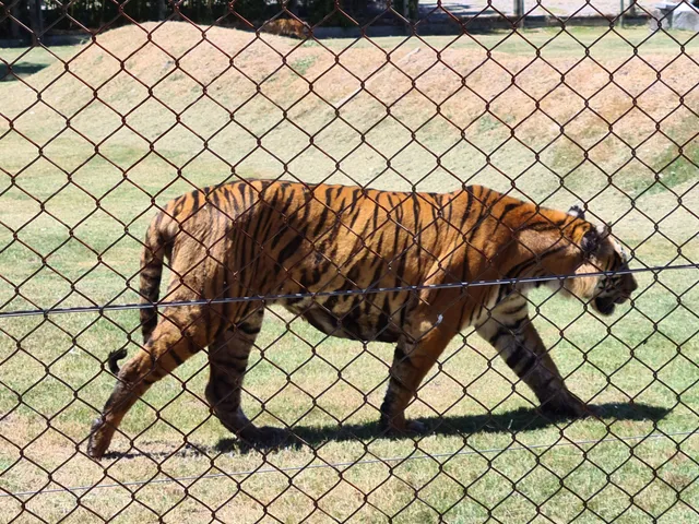 Bioparque OFICIAL Durazno