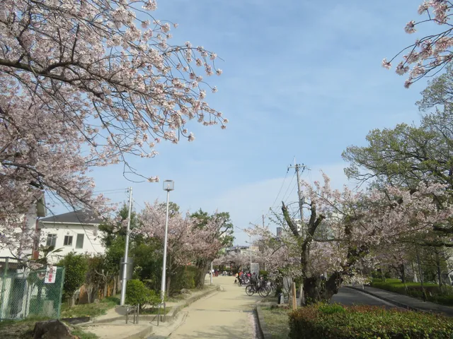 Sakura Park