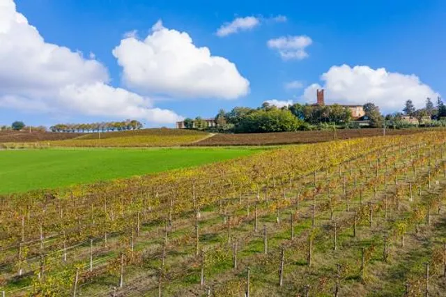 CASTELLO DI UVIGLIE S.S. di Cebraro e Ganora
