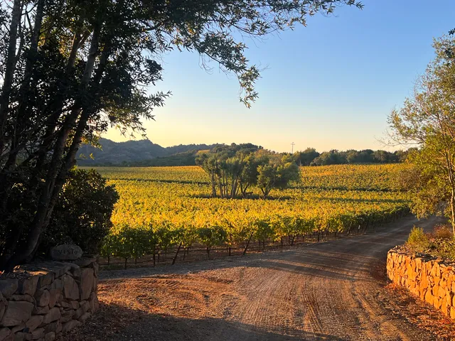 Oakville Ranch Vineyards