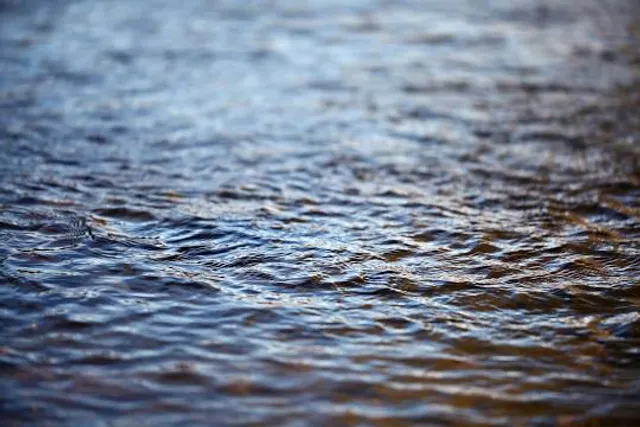 Traumpfädchen Paradiesweg Polch