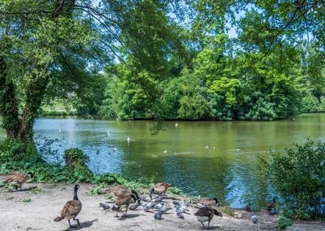 Réserve Naturelle Nationale des Marais de Bruges