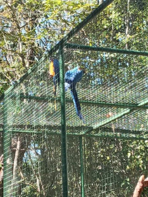 Parque Zoobotânico da Matinha