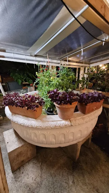 Bar/Restaurant Casablanca