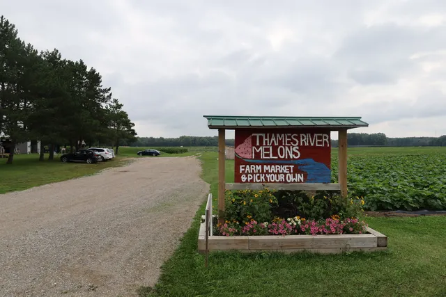 Thames River Melons - For Wholesale and Deliveries