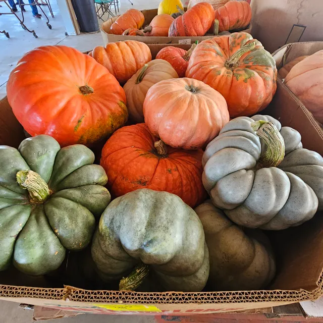 Owl Creek Produce Auction