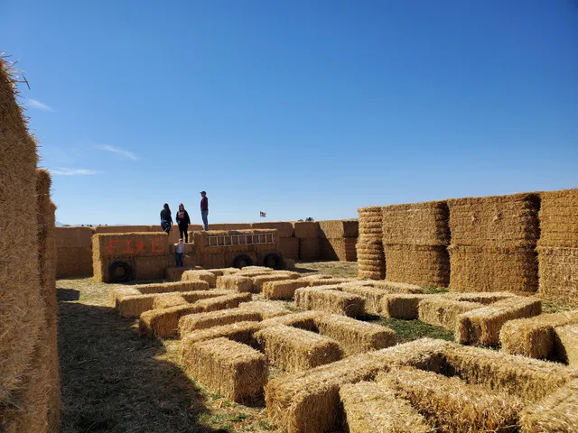 Beaverhead Maze and Pumpkin Patch