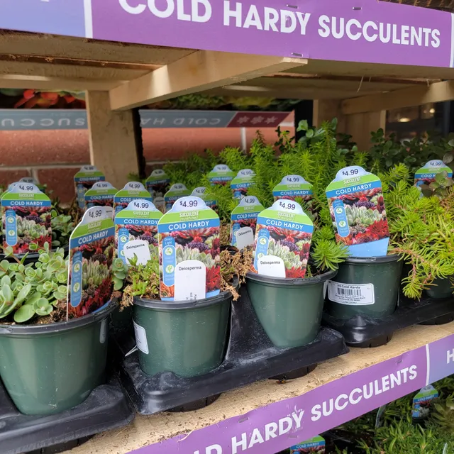 Perrysburg Marketplace Shopping Center