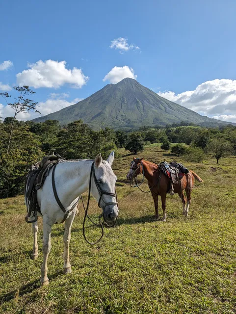 Horseback Riding In Arenal By Don Tobias Horses