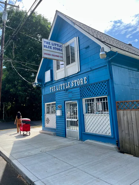 the little blue store