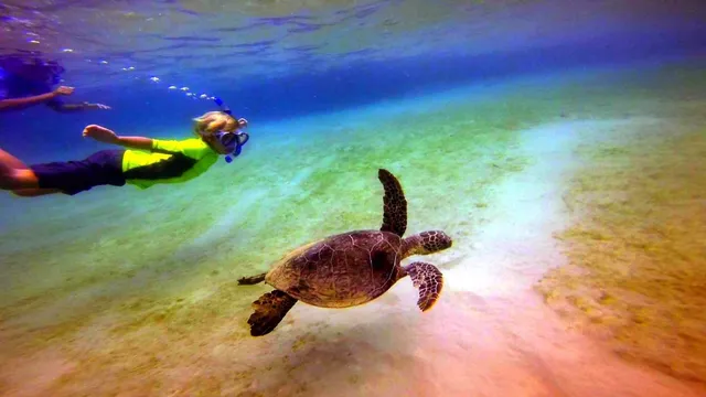 Hawai'i Surf and Kayak